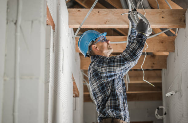Best Local Electrician Companies  in Cecilia, LA