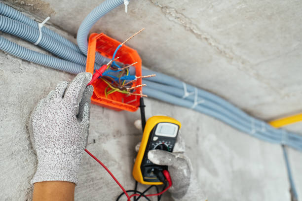 Best Electrical Repair Services  in Cecilia, LA